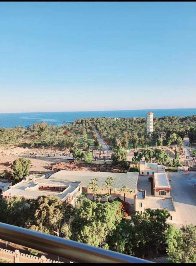 Apartment ( On The Sea In Alexander (montazah District